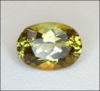 MALI GARNET (Africa) – 1.69 ct. Oval -- VIDEO